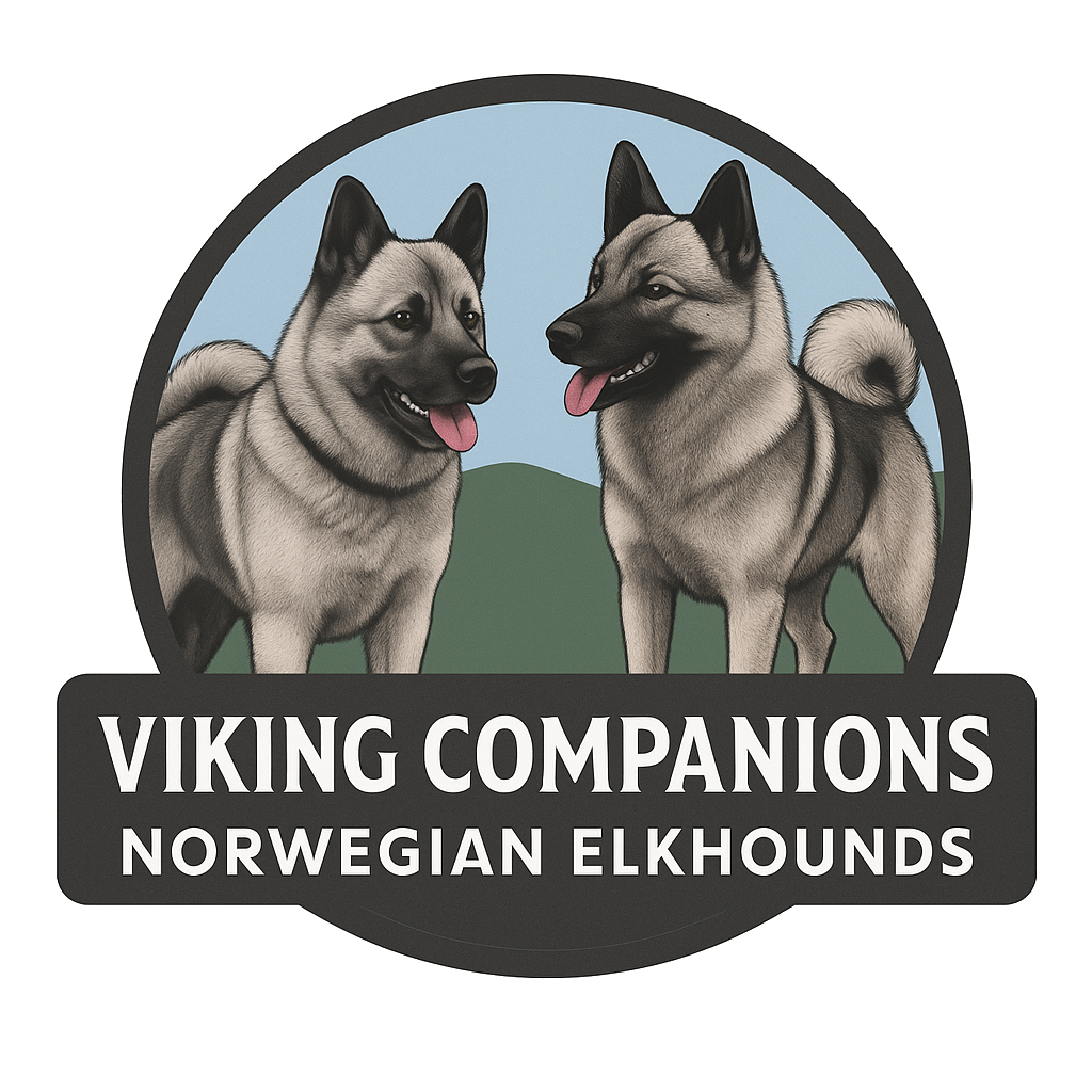 Viking Companions LLC